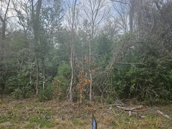 $200,000 | 0 Winding Creek Road, Shepherd, TX 77371