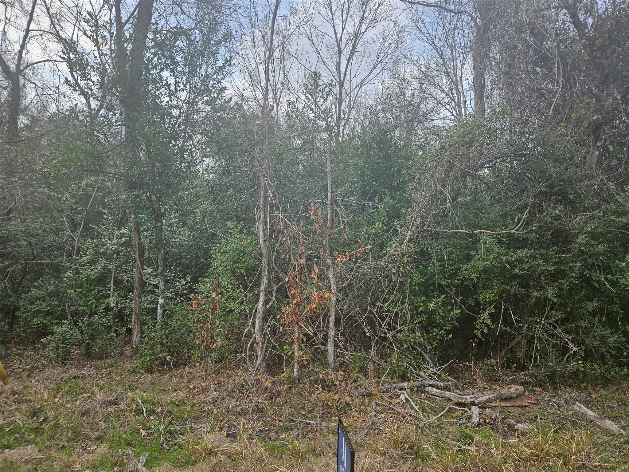 0 Winding Creek Road Shepherd, TX 77371 - Photo 5 of 5 a view of a forest with trees in the background