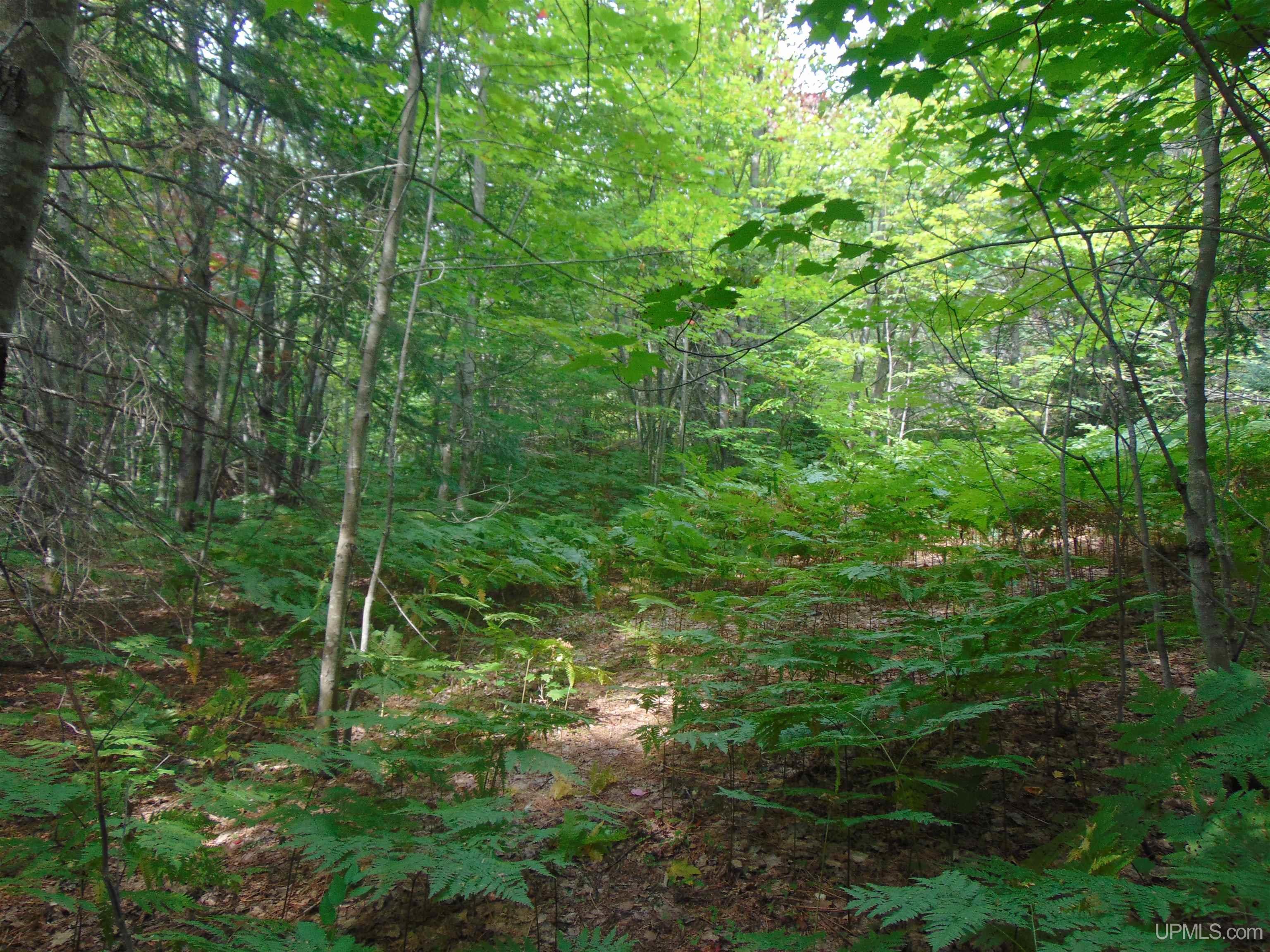 15 Coles Creek Road Atlantic Mine, MI 49905 - Photo 8 of 31
