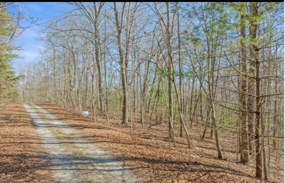 18 Devon Loop, Unit 18 Crossville, TN 38558 - Photo 1 of 12 Screenshot_20240215_145708_Chrome