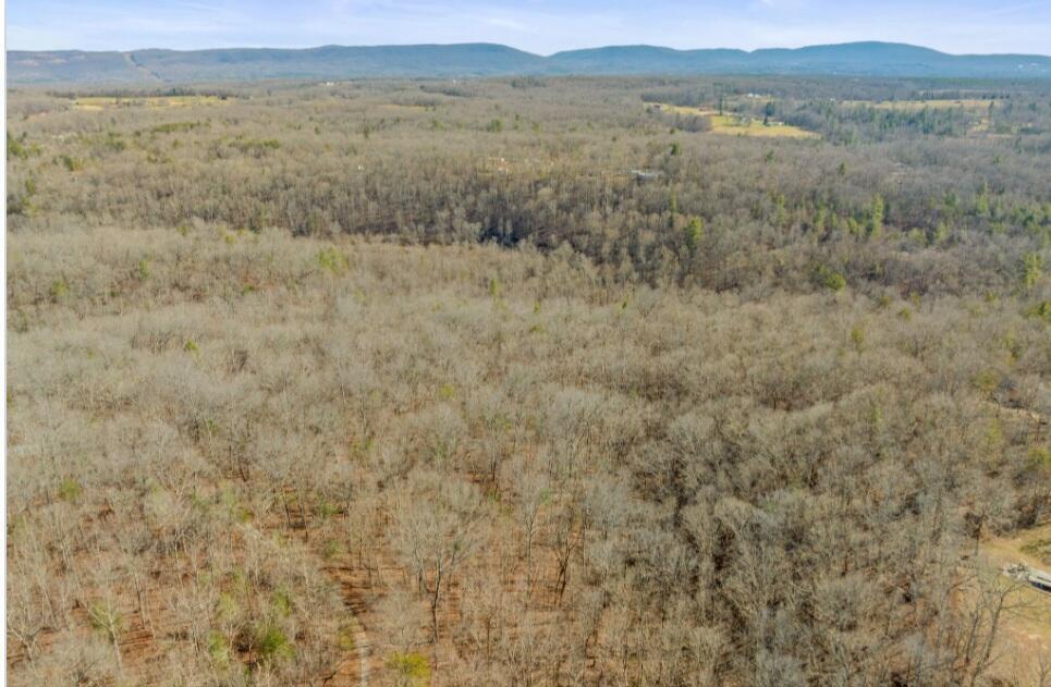 18 Devon Loop, Unit 18 Crossville, TN 38558 - Photo 12 of 12 Screenshot_20240215_145732_Chrome