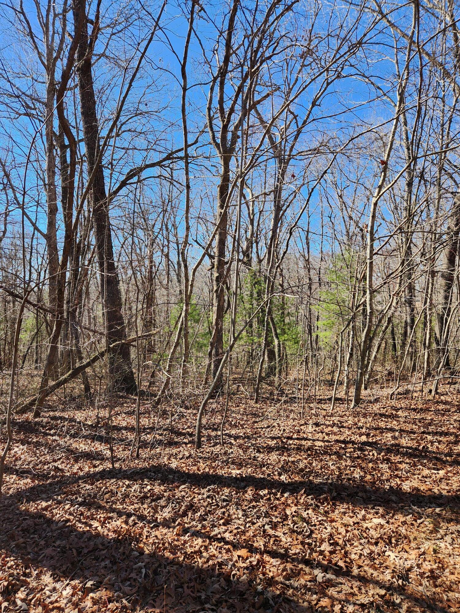 18 Devon Loop, Unit 18 Crossville, TN 38558 - Photo 6 of 12 20240206_104817