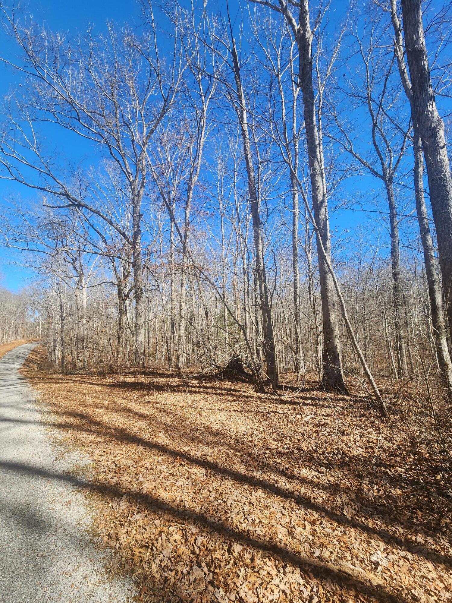 18 Devon Loop, Unit 18 Crossville, TN 38558 - Photo 7 of 12 20240206_112210