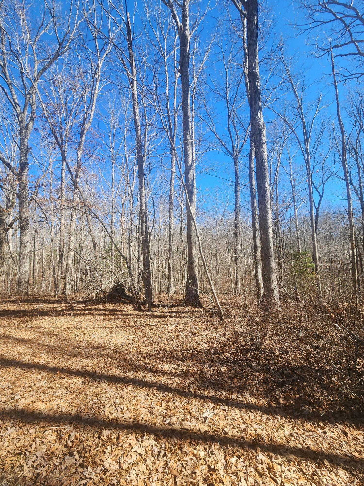 18 Devon Loop, Unit 18 Crossville, TN 38558 - Photo 8 of 12 20240206_112207