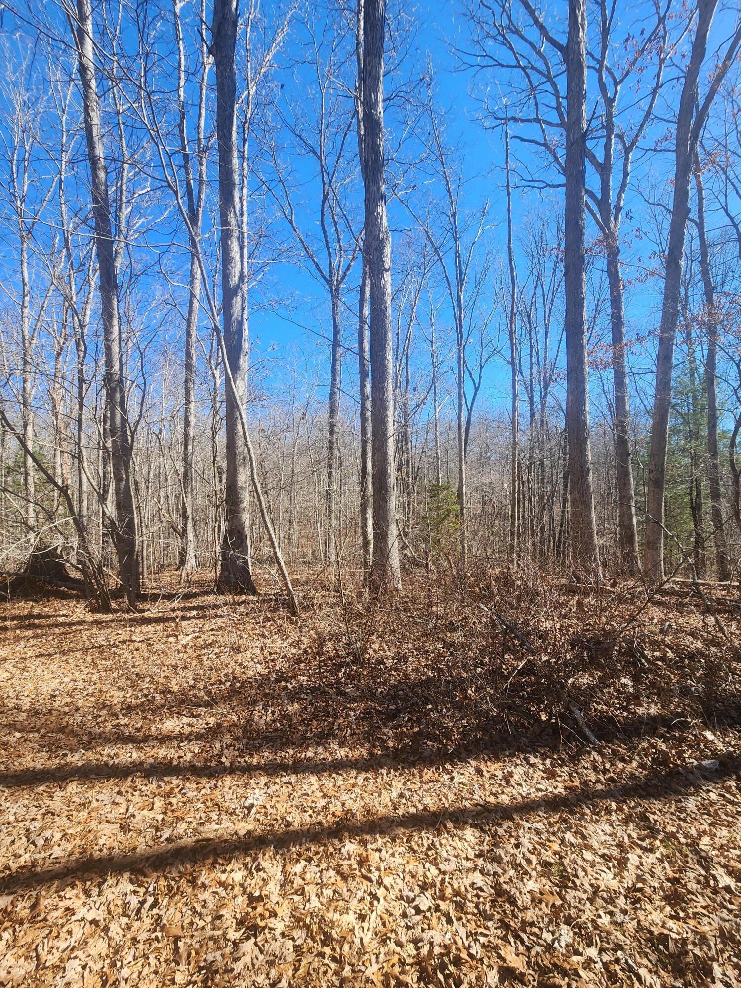 18 Devon Loop, Unit 18 Crossville, TN 38558 - Photo 9 of 12 20240206_112204