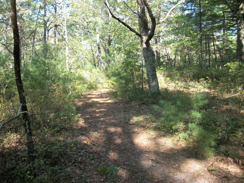 103 Maple Springs Road Wareham, MA 02571 - Photo 7 of 9 Gallery Image 7