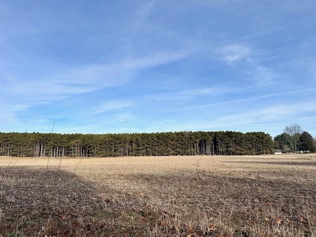 0 Seymour Road, Unit E Grass Lake, MI 49240 - Photo 3 of 3 3