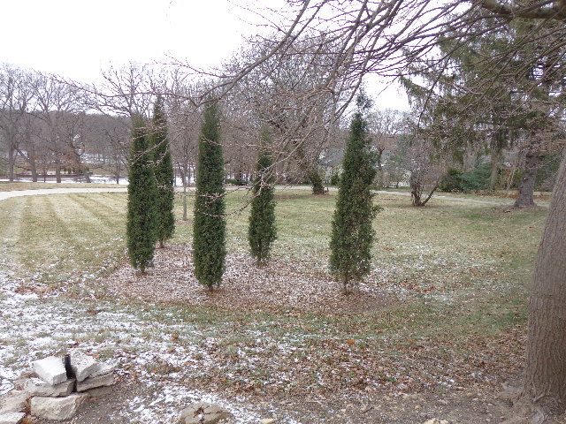 228 Crissey Avenue Geneva, IL 60134 - Photo 1 of 3 a view of a forest with trees
