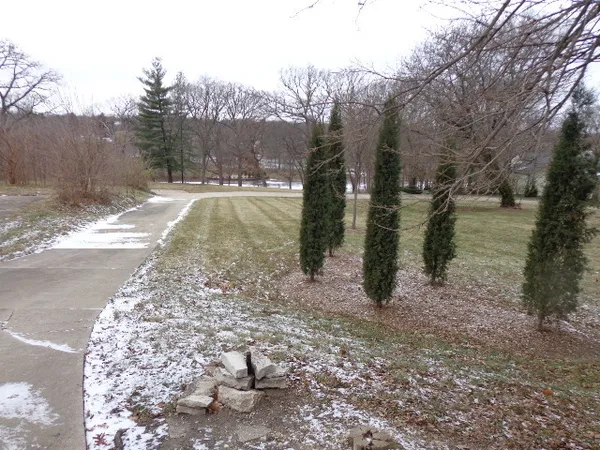 a view of a yard with trees in the background