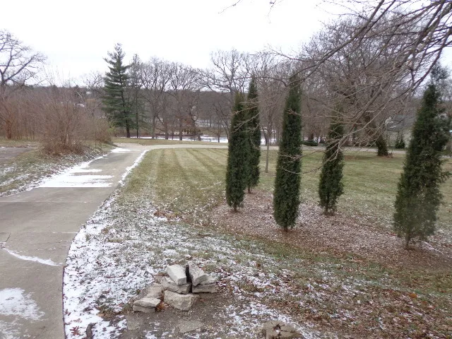 a view of a yard with trees in the background