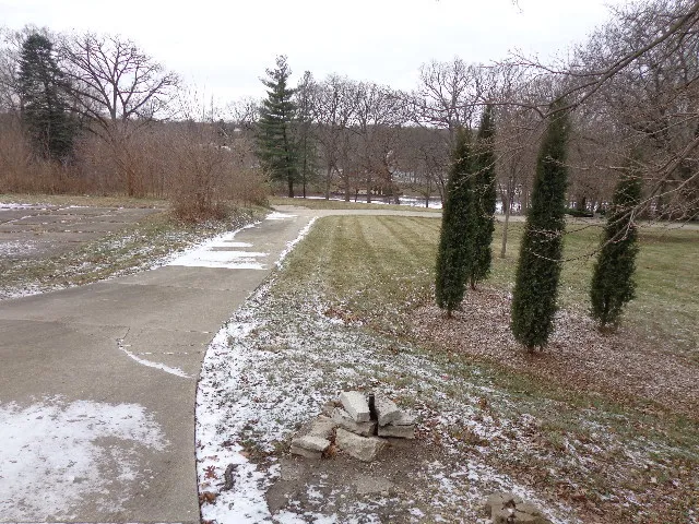 a view of a yard with trees