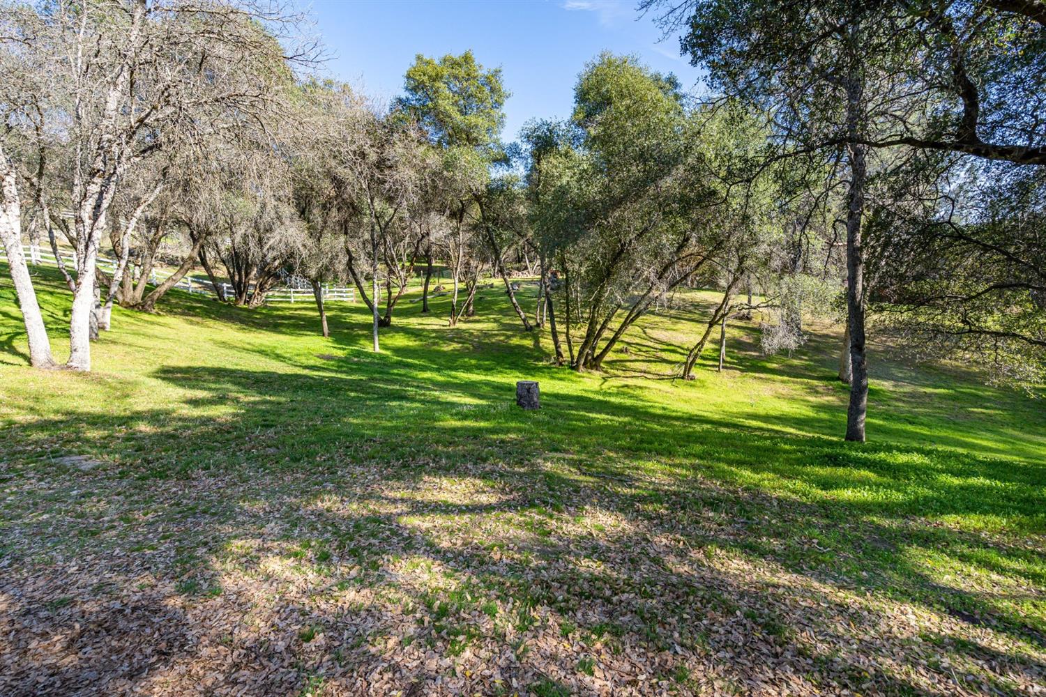 40733 Big Oak Flat Road North Oakhurst, CA 93644 - Photo 30 of 37