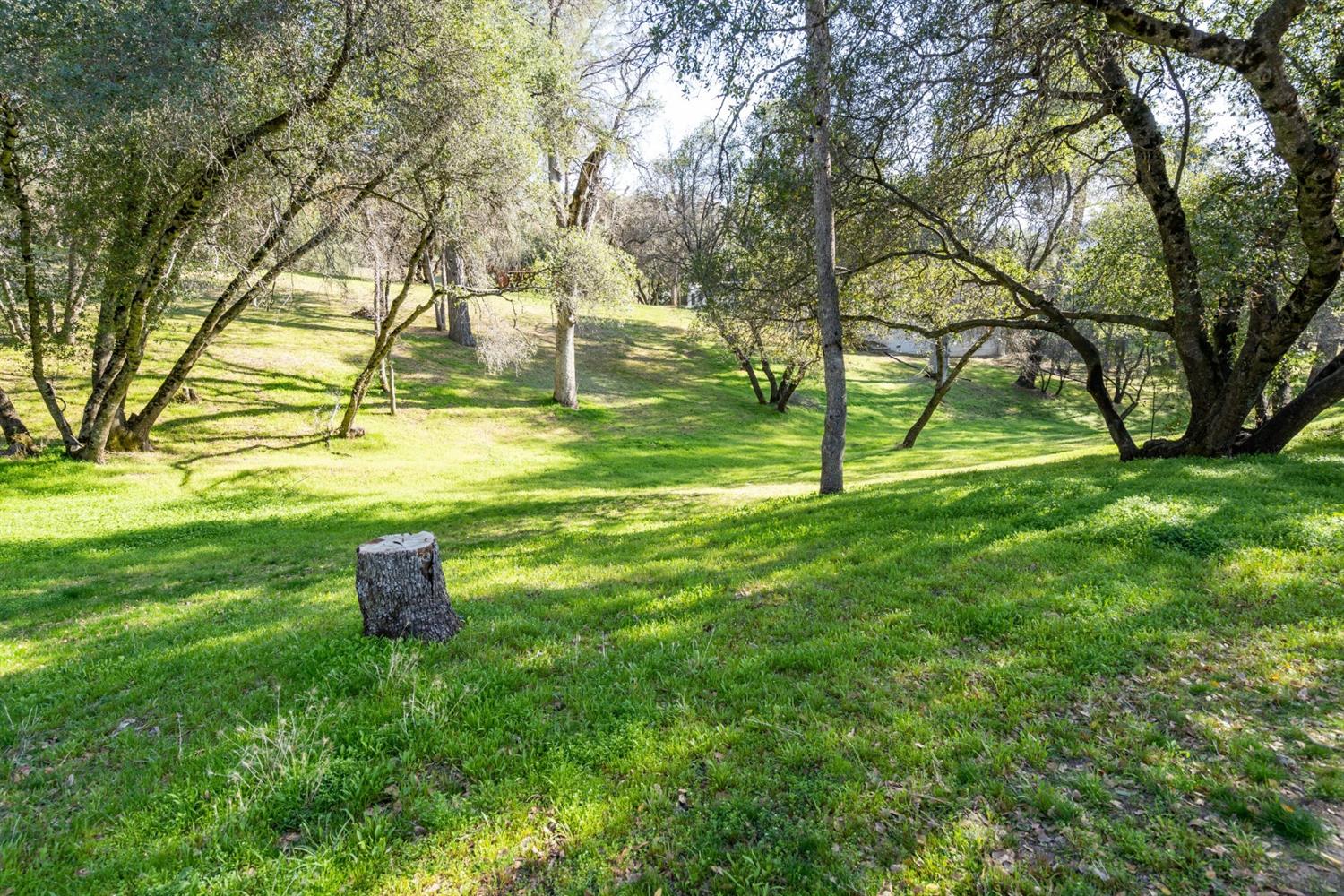 40733 Big Oak Flat Road North Oakhurst, CA 93644 - Photo 32 of 37