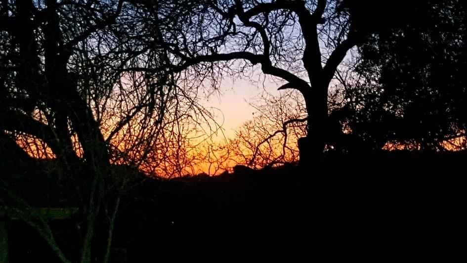 40733 Big Oak Flat Road North Oakhurst, CA 93644 - Photo 36 of 37