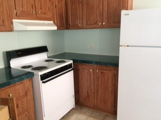 467 Durham Lake Road Dudley, NC 28333 - Photo 3 of 9 Kitchen