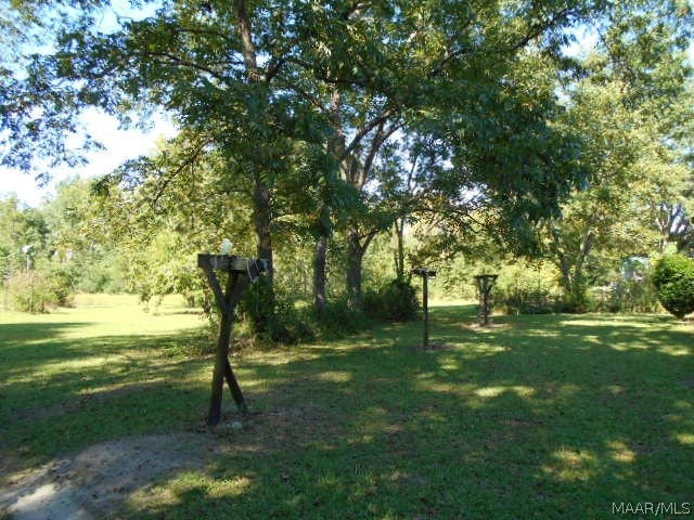 2103 Coffee Springs Road Samson, AL 36477 - Photo 8 of 16 Gallery Image 8