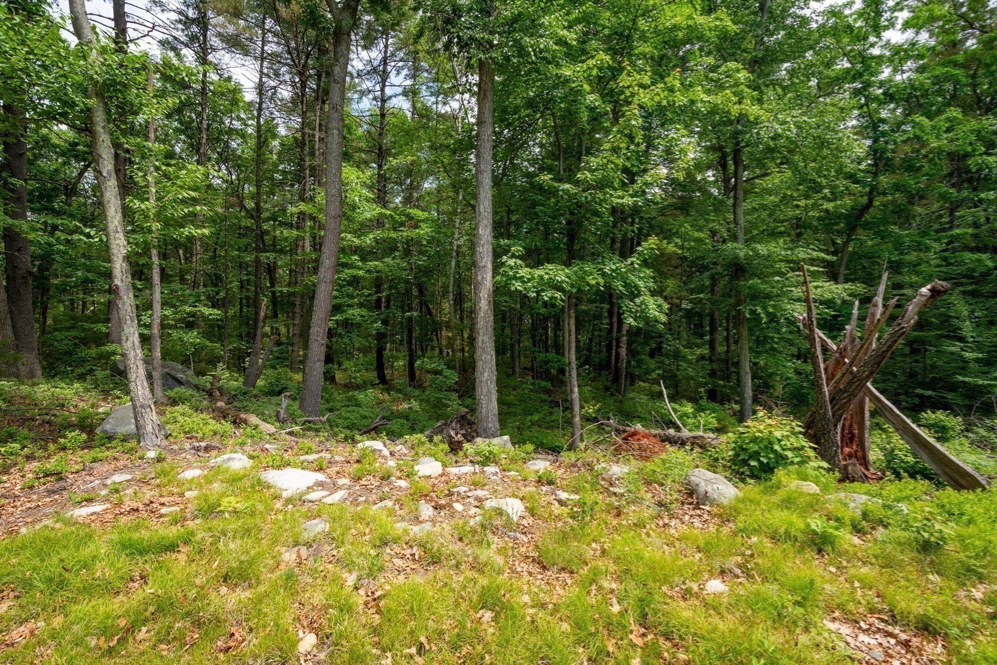 72 Quarry Road Acton, MA 01720 - Photo 16 of 23 Gallery Image 16