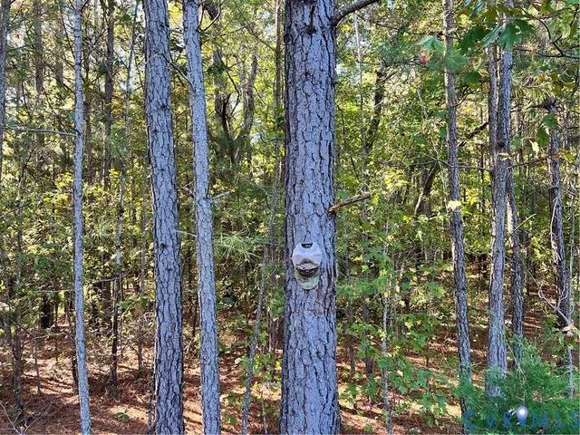 $1,200,000 | 8101 Double Creek Court, Chesterfield, VA 23832