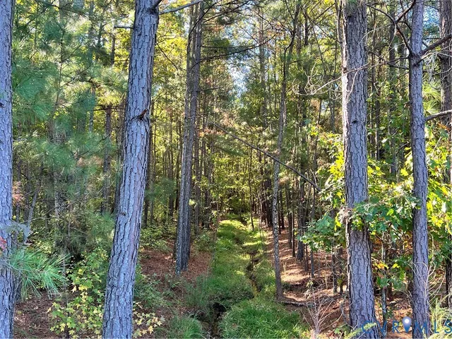 $1,200,000 | 8101 Double Creek Court, Chesterfield, VA 23832