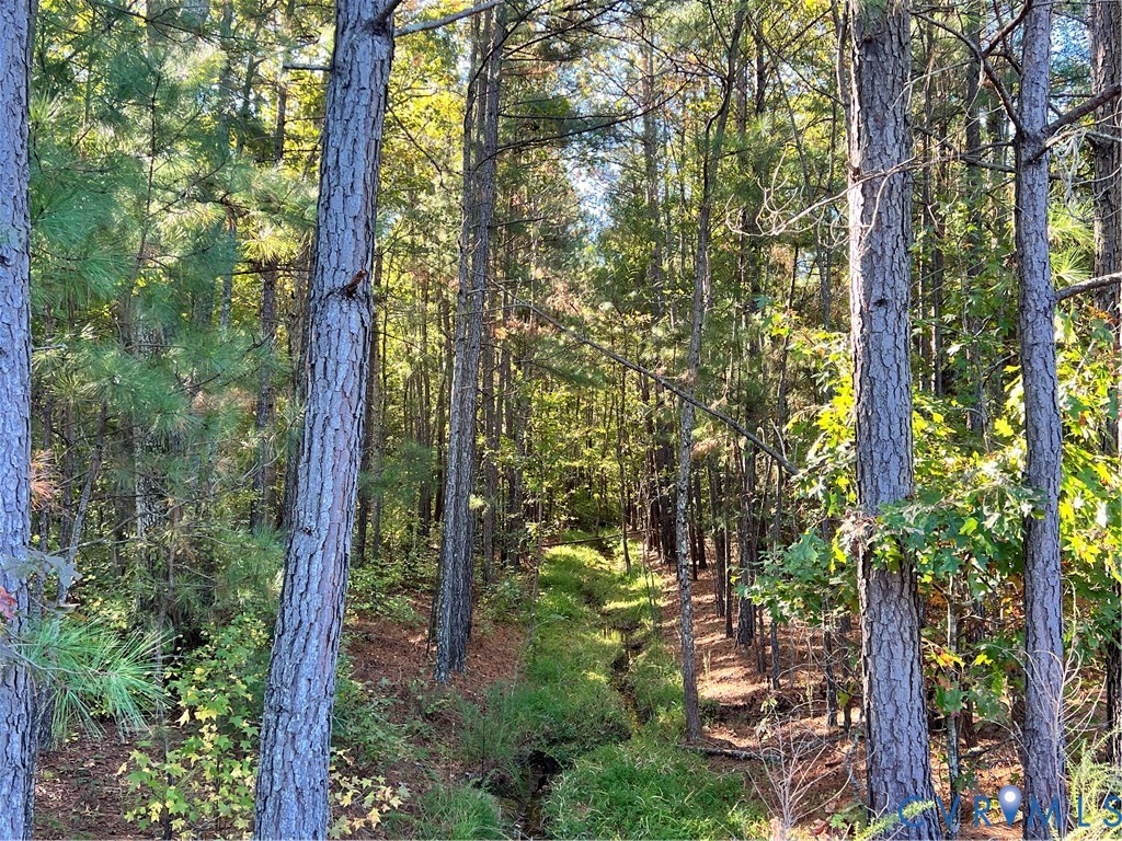 8101 Double Creek Court Chesterfield, VA 23832 - Photo 9 of 13 a view of a garden