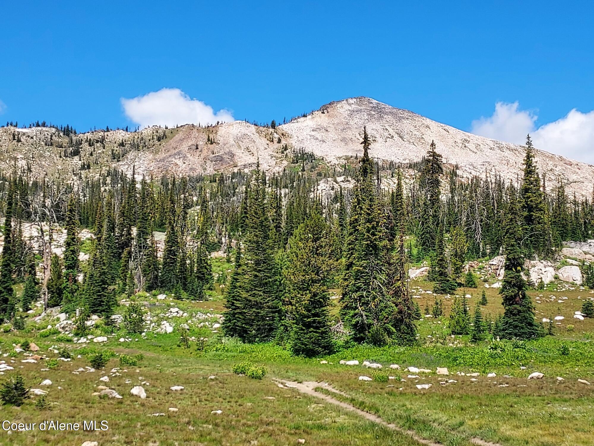 Crooked River Road Elk City, ID 83525 - Photo 1 of 9 20250716_112348_resized