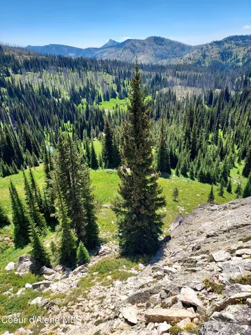 $149,000 | Crooked River Road, Elk City, ID 83525