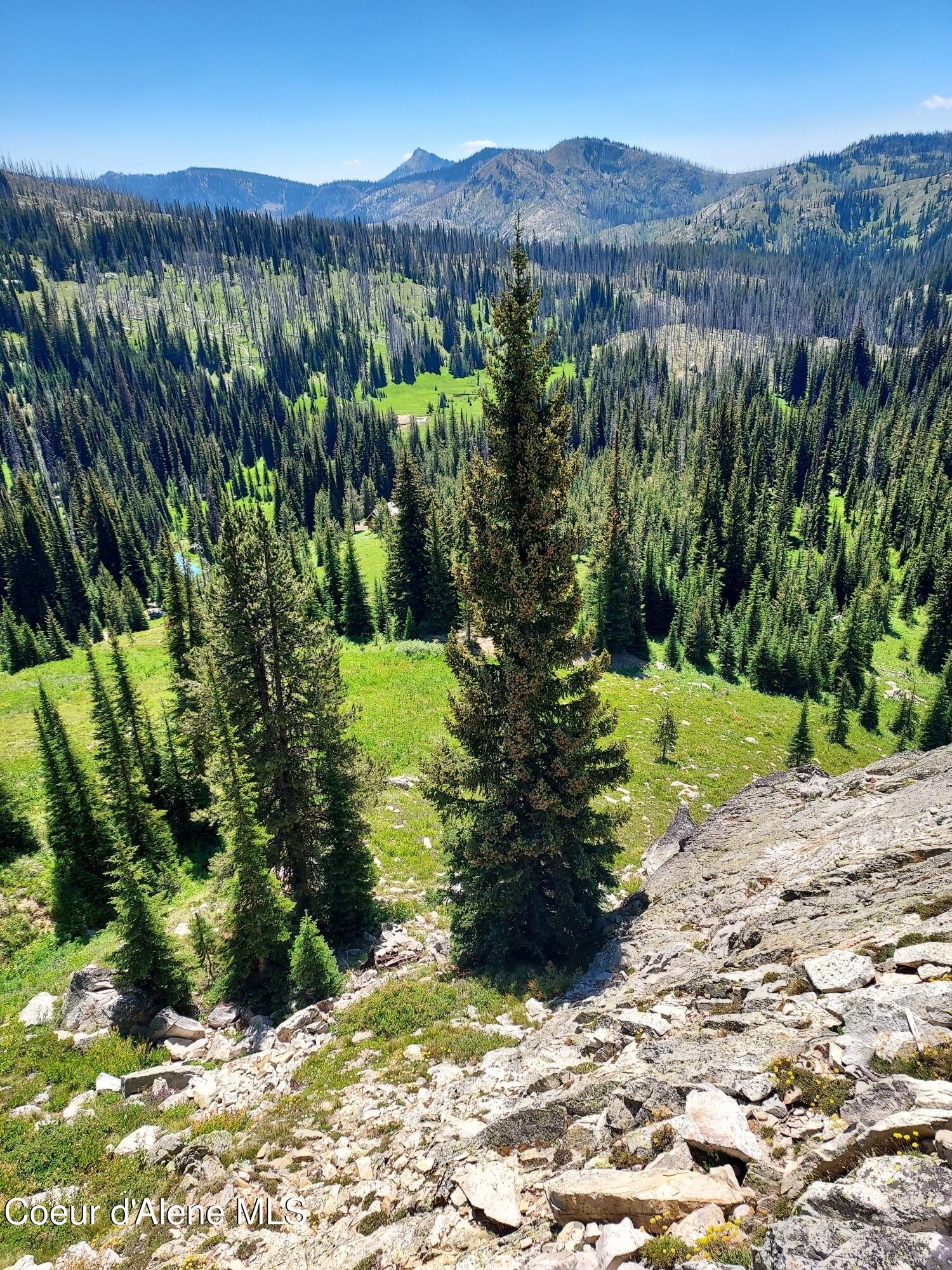 Crooked River Road Elk City, ID 83525 - Photo 2 of 9 20250716_121305_resized