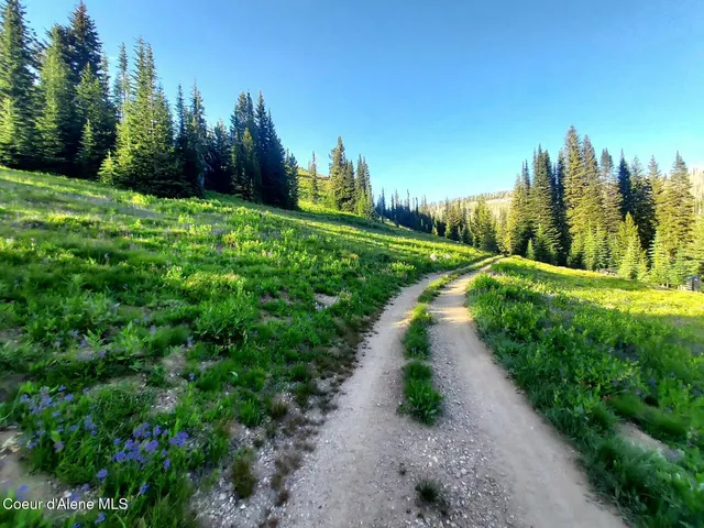 $149,000 | Crooked River Road, Elk City, ID 83525