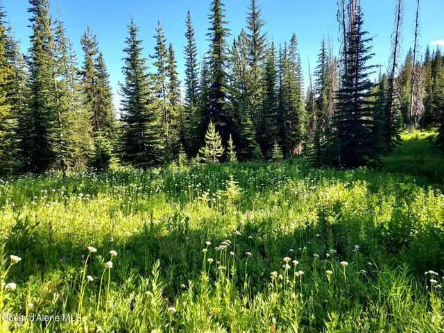 $149,000 | Crooked River Road, Elk City, ID 83525