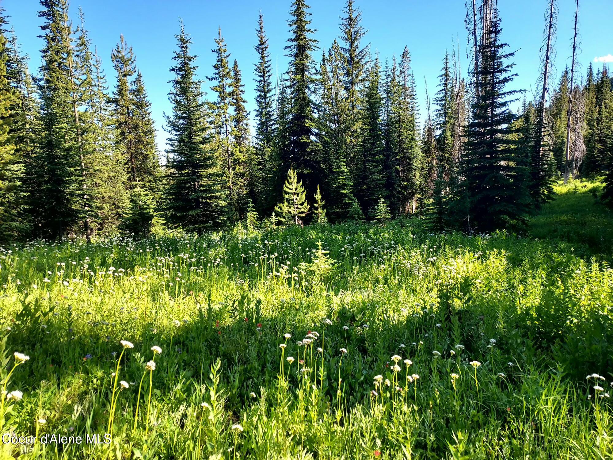 Crooked River Road Elk City, ID 83525 - Photo 4 of 9 2