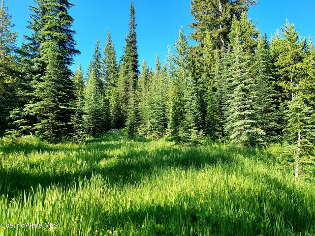 $149,000 | Crooked River Road, Elk City, ID 83525