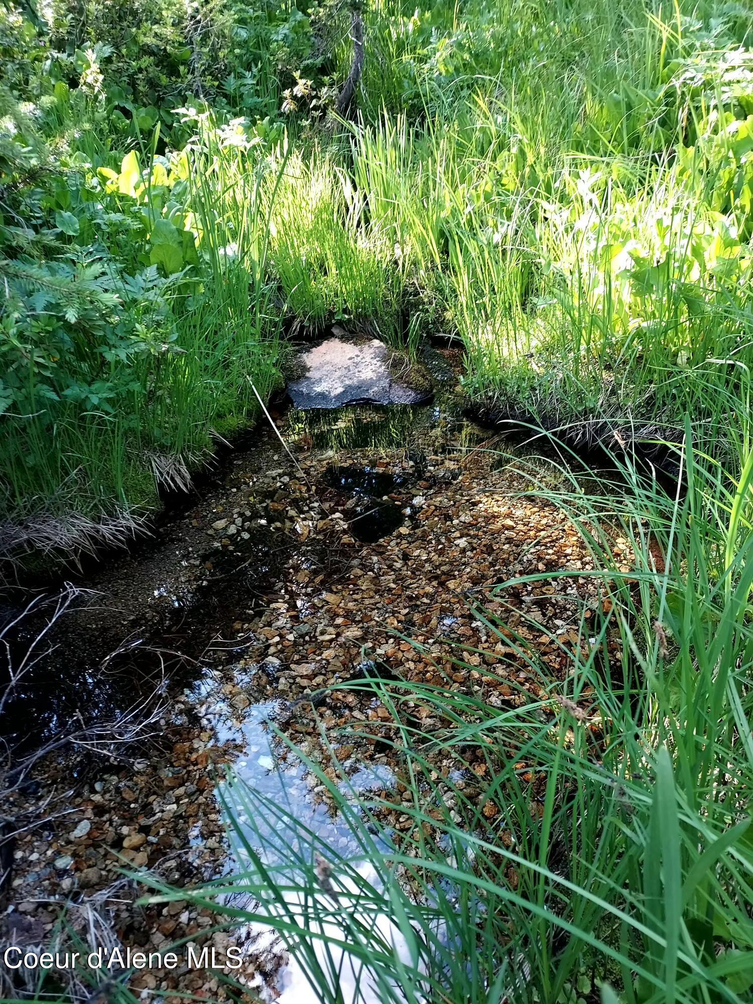 Crooked River Road Elk City, ID 83525 - Photo 6 of 9 B