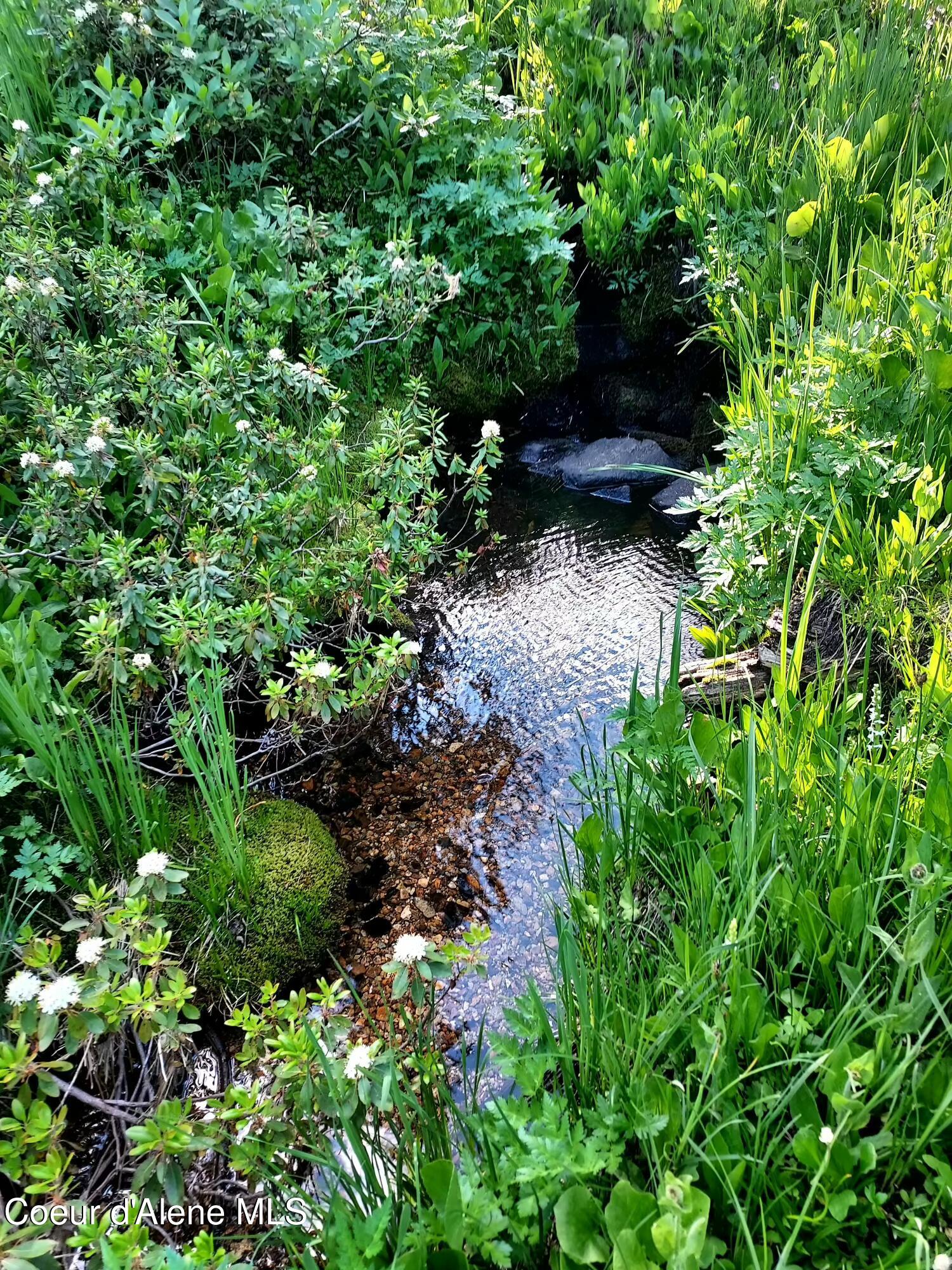Crooked River Road Elk City, ID 83525 - Photo 7 of 9 A