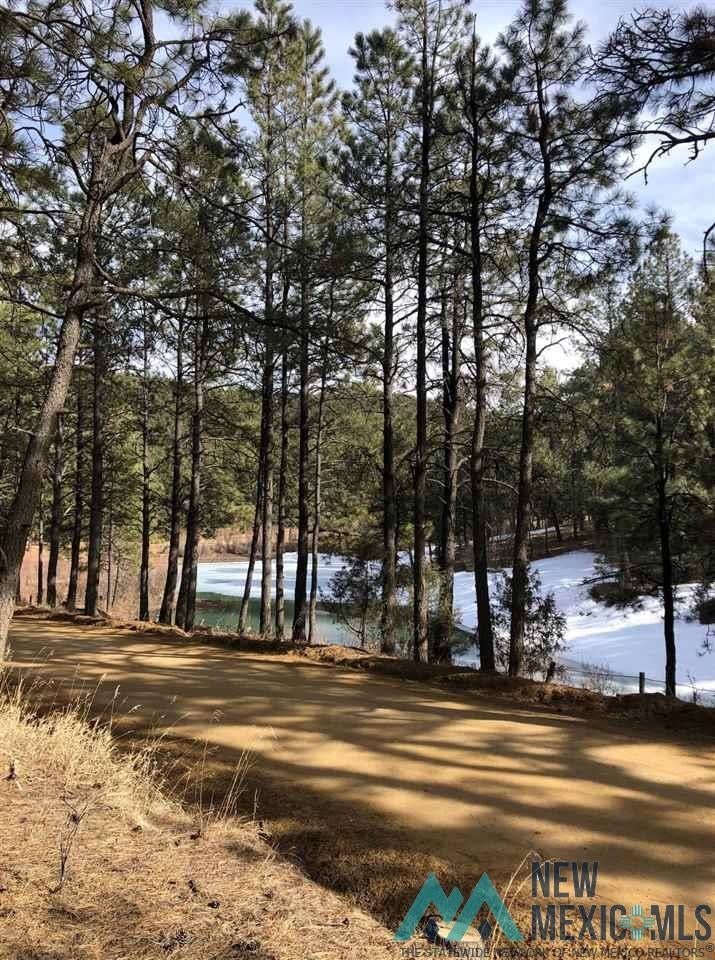 36 Forest Drive Rociada, NM 87742 - Photo 1 of 1 Gallery Image 1