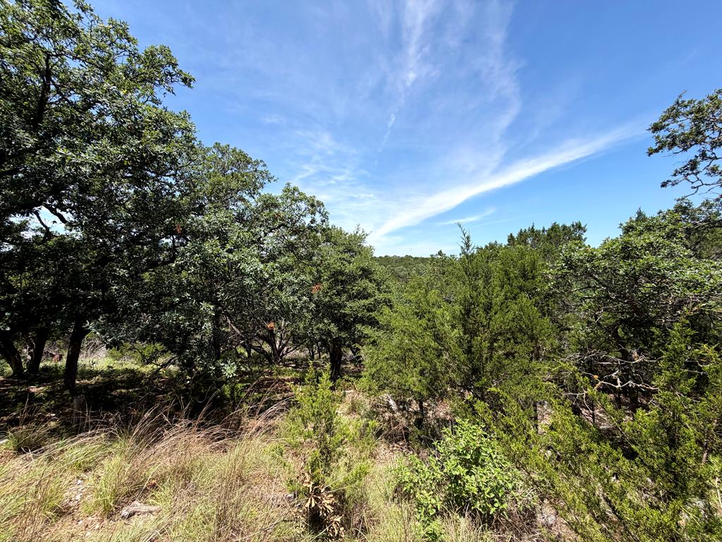 707 Rimrock Road Kerrville, TX 78028 - Photo 52 of 55