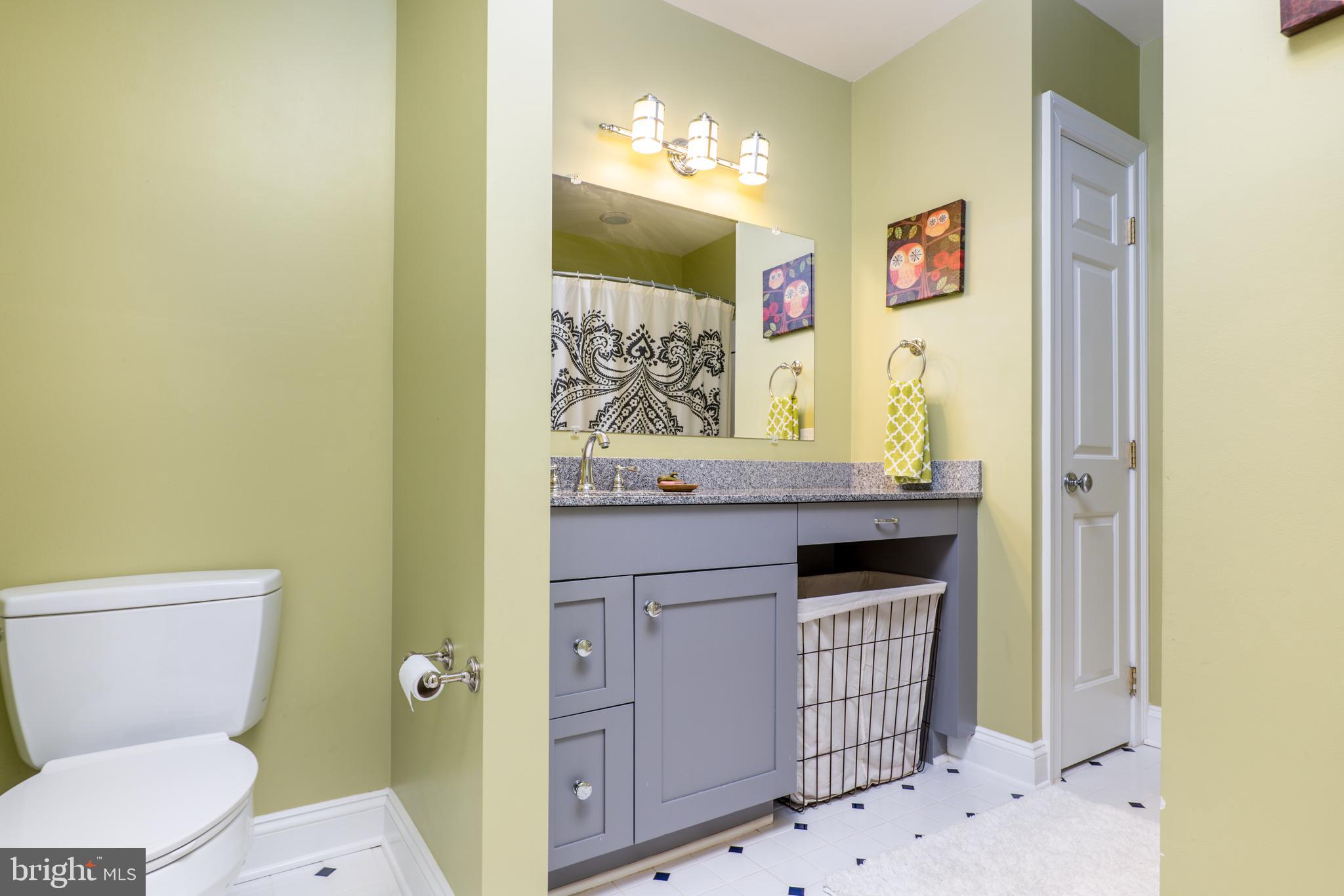 1500 Magers Landing Road Monkton, MD 21111 - Photo 19 of 37 Hall bath with tub