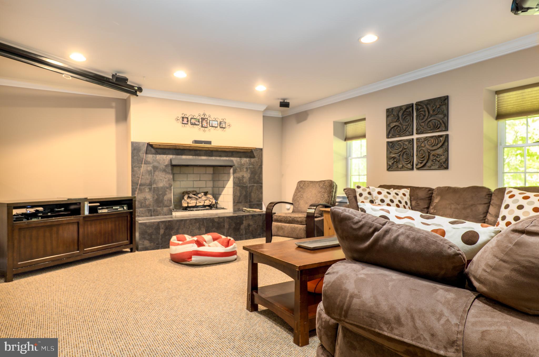 1500 Magers Landing Road Monkton, MD 21111 - Photo 25 of 37 Gas fireplace, projection screen and equipment