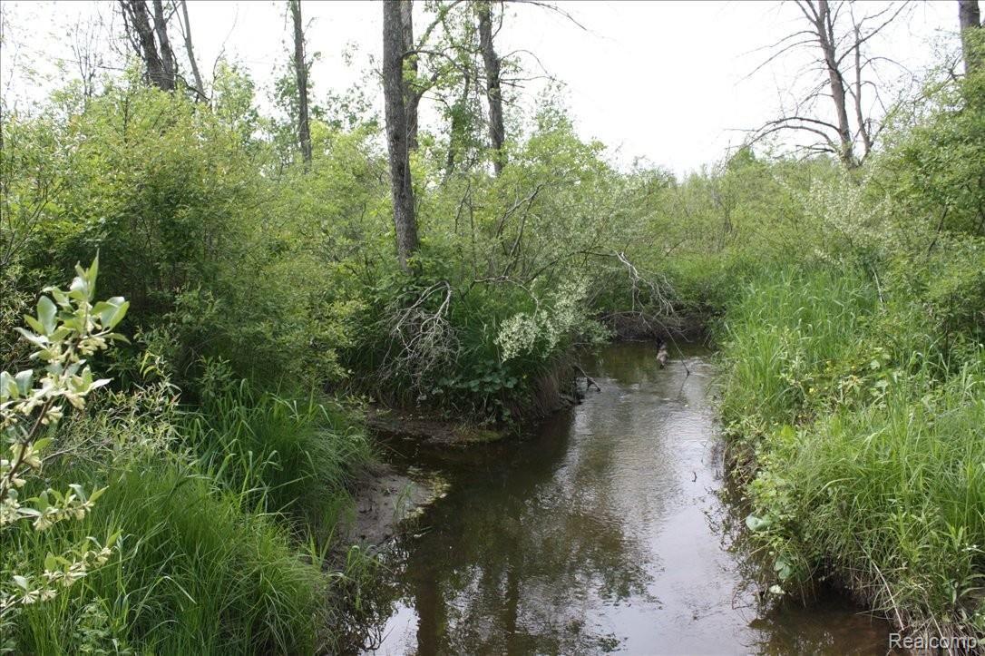 3616 Diehl Road Metamora, MI 48455 - Photo 3 of 9 Flowing stream