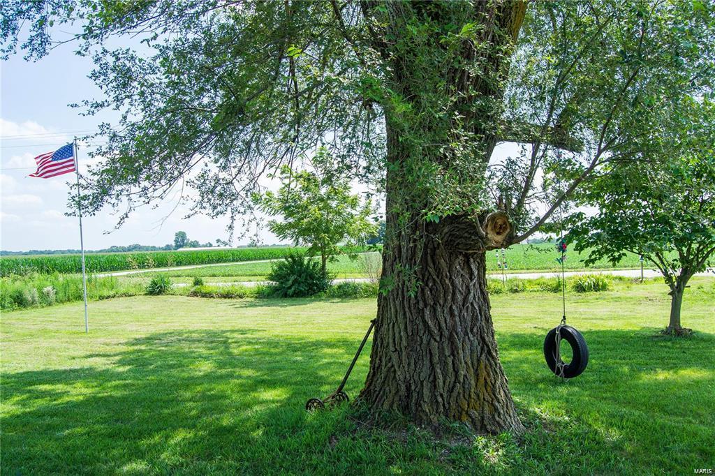 32602 Delhi Road Brighton, IL 62012 - Photo 4 of 52