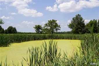 32602 Delhi Road Brighton, IL 62012 - Photo 42 of 52