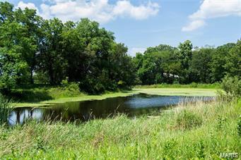 32602 Delhi Road Brighton, IL 62012 - Photo 43 of 52