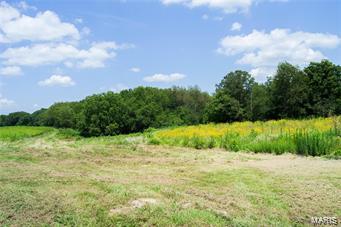 32602 Delhi Road Brighton, IL 62012 - Photo 44 of 52
