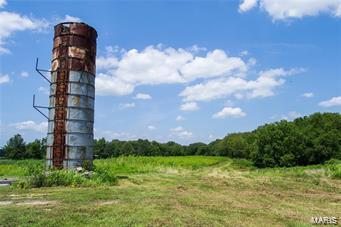 32602 Delhi Road Brighton, IL 62012 - Photo 45 of 52
