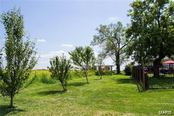 32602 Delhi Road Brighton, IL 62012 - Photo 46 of 52