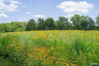 32602 Delhi Road Brighton, IL 62012 - Photo 50 of 52