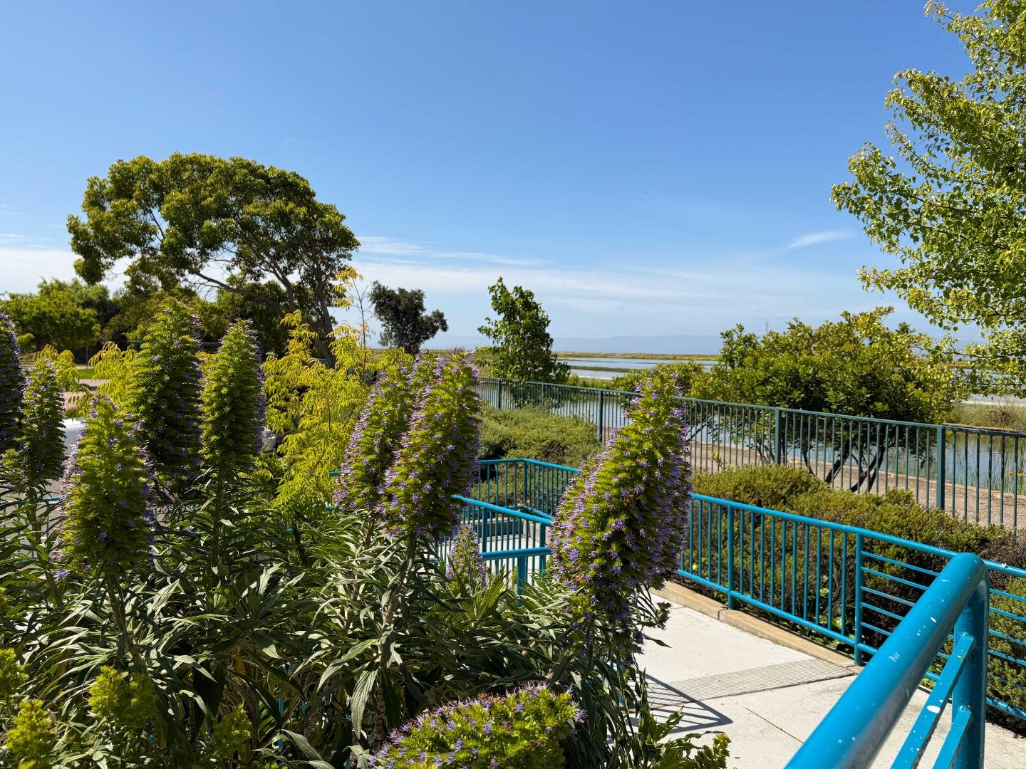2715 Shellgate Circle Hayward, CA 94545 - Photo 46 of 47 a view of a lake from a balcony