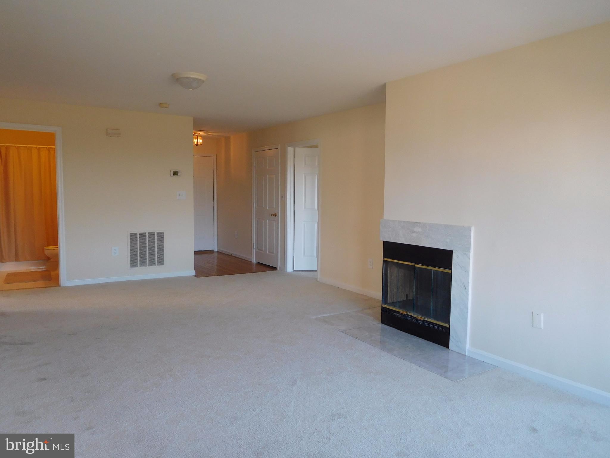 304 Ridgepoint Place, Unit 14 Gaithersburg, MD 20878 - Photo 3 of 25 a view of empty room with a fireplace