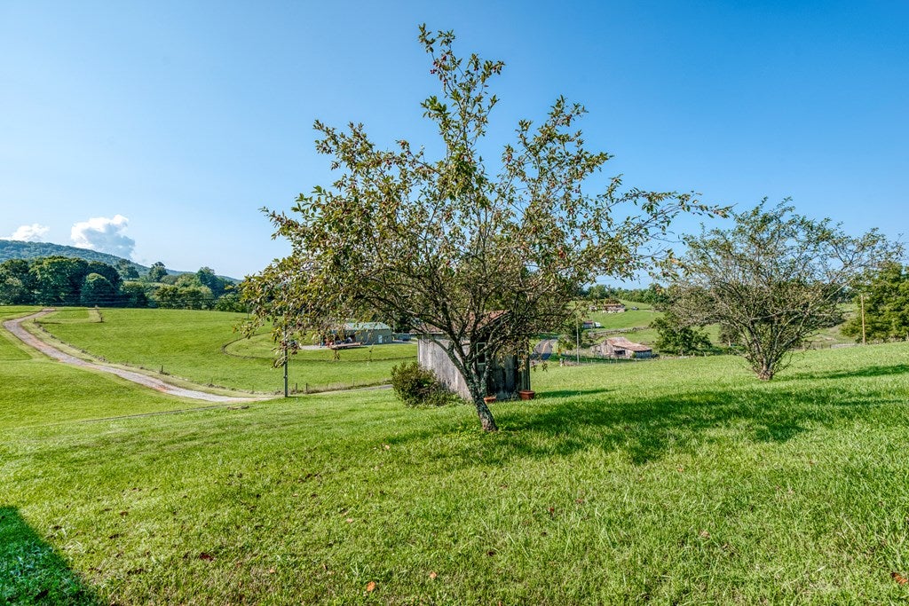 35637 Widener Valley Road Glade Spring, VA 24340 - Photo 24 of 26 Gallery Image 24