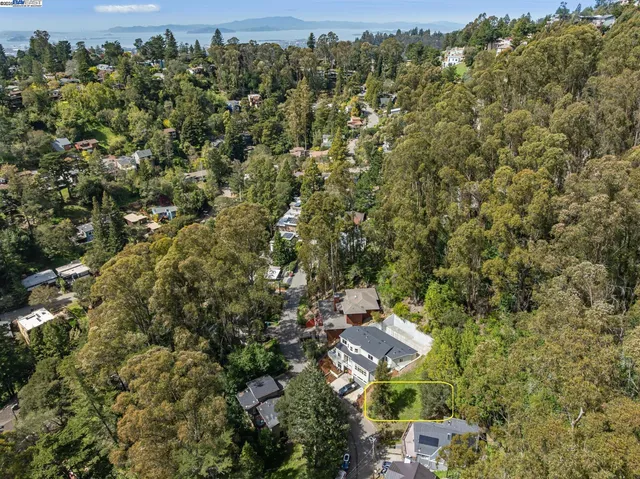 an aerial view of forest