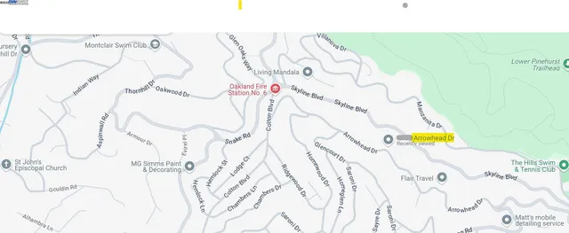 a picture of a room with lots of flowers